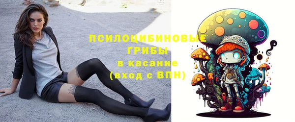 МДПВ Богородск