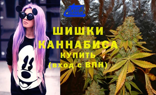 мяу мяу мука Белокуриха