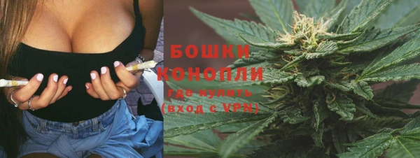 мяу мяу мука Белокуриха