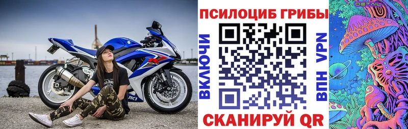 что такое   Балахна  Псилоцибиновые грибы мицелий 